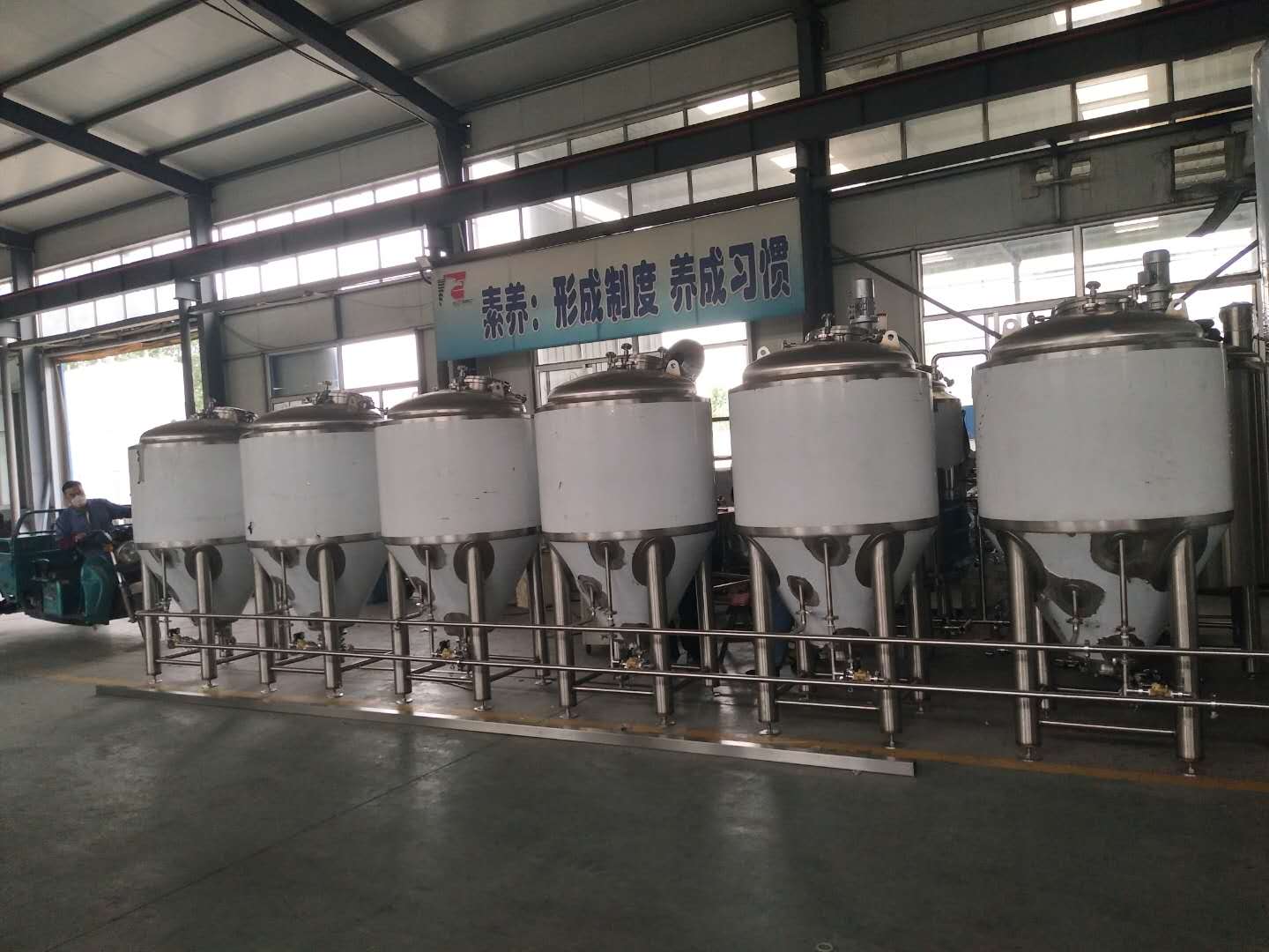  Auto/Manual high quality  fermenter of SUS 304 316 from China W1